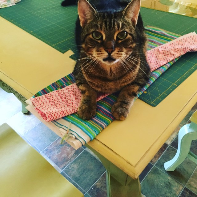 Kerry pics August 2018 382.JPG